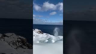 : Carolyn Murray : The Spout #ExploreNL #ExploreCanada