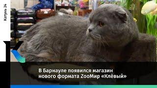 В Барнауле появился магазин нового формата ZooМир «Клёвый»