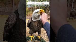 This man discovered a baby bird in his backyard by chance, and what happened next was amazing...