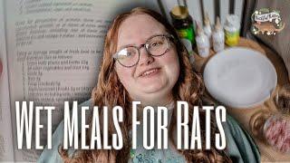 Rat Diet 101 | The Balanced Wet Meal