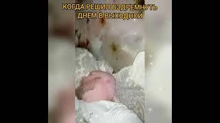 #дневнойсон