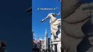 Day 5 | Orlando | The Moment #orlando #holiday #universalstudios