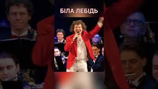 Біла лебідь. Кварта з оркестром. #Shorts