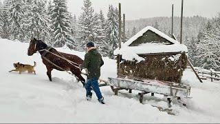 The charm of winter life in the Carpathian village