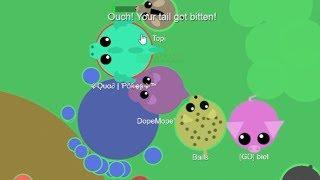 Mope.io Donkey Trolling & Funny Moments! Mope.io