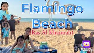 Flamingo Beach #Ras al khaimah open beach #Beach