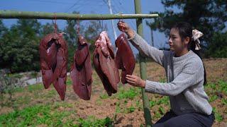 Preserving Fresh Pig  Liver! Now It is time to recover!