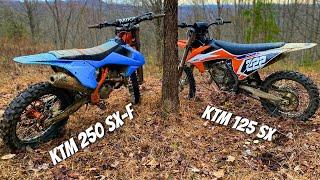 Race bikes in the WOODS 