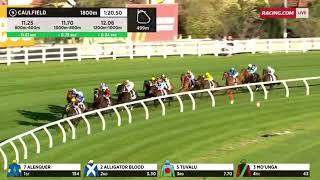 2023 Live Life Foundation Underwood Stakes 1800M - Caulfield - Alligator Blood (3YO+G1)