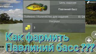 My Fishing World | Павлиний басс !!!