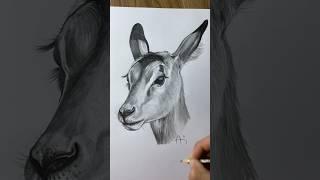 #drawing #art #karakalem #sketch #artreels #painting #çizim #artist