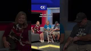 Toby and Timmy visited FOX43 to talk about supporting animal rescues!