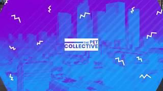 The Pet Collective (Trailer) | Pluto TV GSA