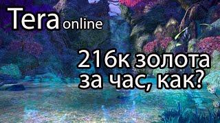 Tera online / Как заработать золота в Tera? / Фарм золота в Tera online