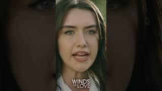 Benim tanıdığım Zeynep...  | #windsoflove #shorts #ruzgarlitepe #turkishseries