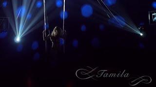 Tamila Perevariukha swingin trapeze