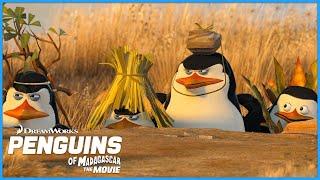 Penguins Hatch a Plan  | Penguins of Madagascar | DreamWorks Madagascar