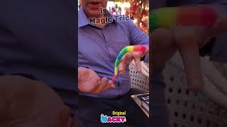 Original Wacky The Magic Worm in Rainbow Color #shorts  #wackyworm #magicwacky #fidgettoys