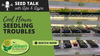 Seed Talk #107 - Cool Flower Seedling Troubles