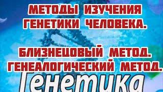 Методы изучения генетики человека. Близнецовый метод. Генеалогический метод.