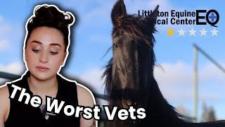 Lessons To Learn From My Horse’s Death