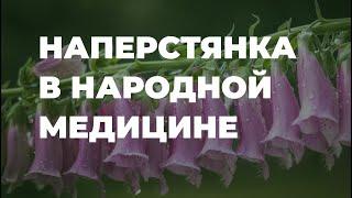 Наперстянка в народной медицине, полезные свойства / Захар Травник