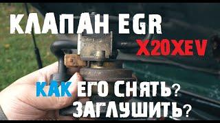 Клапан EGR на X20XEV, как его снять? Как его физически заглушить?[#Вне сюжета 10.09.2020 OMEGA LIVE]