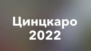 Цинцкаро Грузия 15 Августа 2022