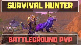 Survival Hunter PVP | Battleground Commentary | BFA 8.0.1