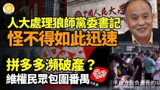 怪不得這次人大處理黨委書記王龜元如此迅速；拼多多瀕破產？無故扣罰20多萬商家 維權民眾包圍番禺討說法；馬斯克：川普此舉對電動車競爭對手將是毀滅性的【阿波羅網】