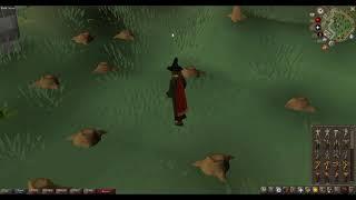 Jagex please fix this glitch @CEngineer