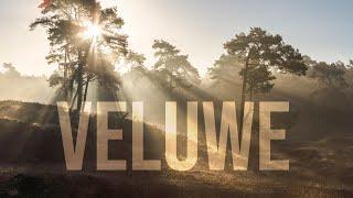 De Veluwe - Timelapse 4K