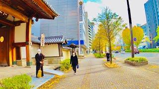 【4K】Japan Walk - Relaxing Morning Walk in Nagoya