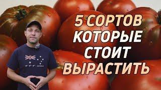 ТОМАТЫ, 5 СОРТОВ КОТОРЫЕ СТОИТ ПОПРОБОВАТЬ!