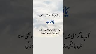 Whenever you leave your house, my friend, say Bismillah. #music #love #taherehmafi