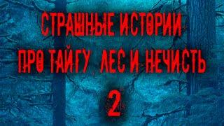 Страшные истории про тайгу, лес  и нечисть. 2 Мистика Zvook. Олег Ли