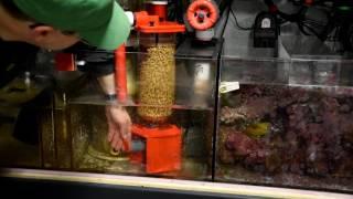 Electrical Trouble in the Tank with Biopellets