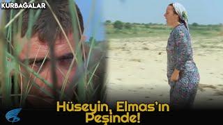 Kurbağalar  | Hüseyin, Elmas'ın Peşinde!