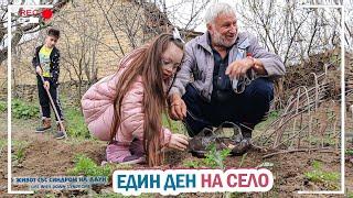 ЕДИН ДЕН НА СЕЛО  Живот със Синдром на Даун