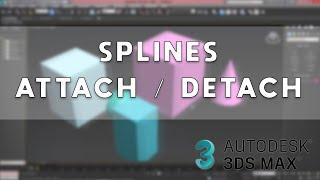 Splines Attach / Detach in 3DS Max 2024