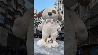 Don’t look at my small size, I have a strong backer.#dog #puppy #doll #plush #cute #funny #gift