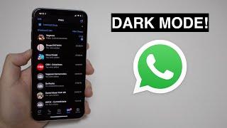 DARK MODE in WhatsApp (How to Enable It!)