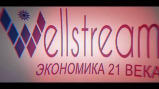 Бизнес проект Wellstream
