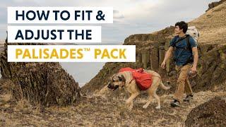 How to Fit & Adjust the Ruffwear Palisades™ Dog Backpack