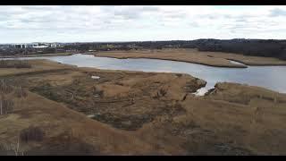 Neponset River Estuary