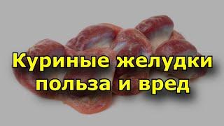 Куриные желудки польза и вред. Химический состав желудков