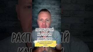 Грамотно РАСПРЕДЕЛЯЙ калории! #диета #калорийность #бжу #диеты #funny