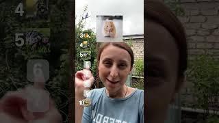 ვირჩევ ცხოველებს #ვლოგი #ქართულად #sub #30k #foryou #vlog