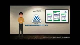 Maxsol