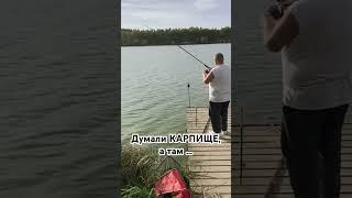 Думали Карп, а там …. До конца #fishing #отдых #рыбалка #карп #приколы #новости